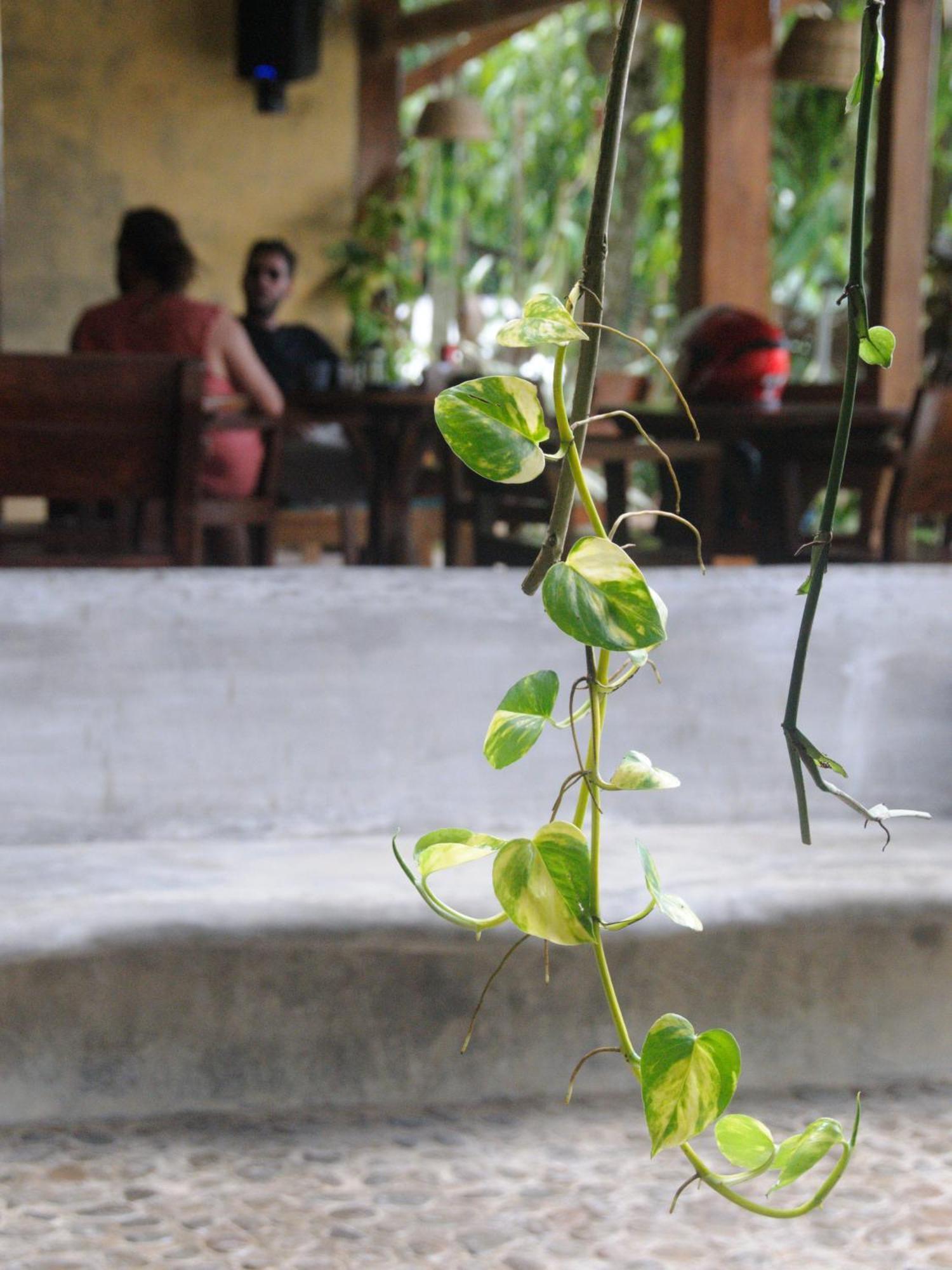 Happiness Boutique Resort El Nido Exterior photo